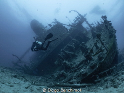 Diver at the Giannis D wreck at Red Sea. by Diogo Benchimol 